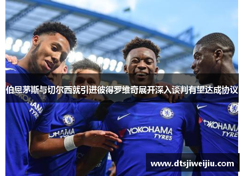 伯恩茅斯与切尔西就引进彼得罗维奇展开深入谈判有望达成协议